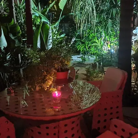 منزل للإقامة Petro's Antique House *