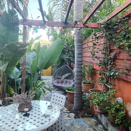 منزل للإقامة Petro's Antique House *