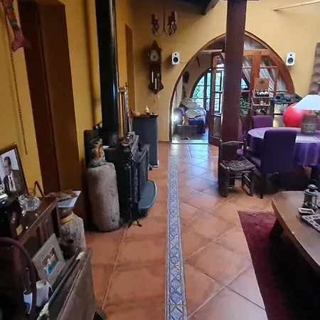 Sylvias Antique House Nicosie