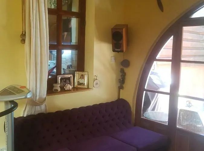 ホームステイ Petro's Antique House *